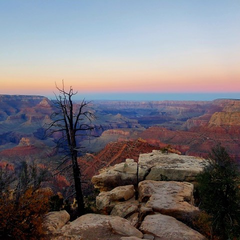 Sunset view of the Grand Canyon with colorful sky and rocky foreground.